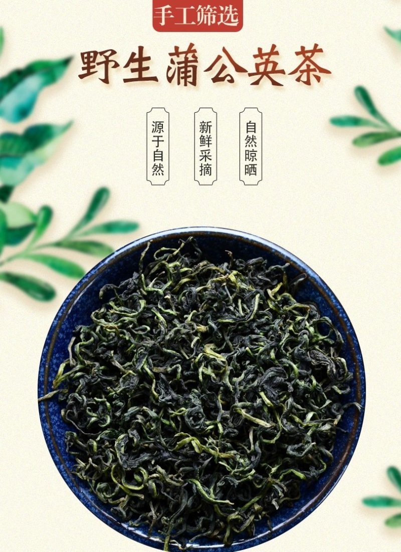 蒲公英茶大货批发野生婆婆丁新货