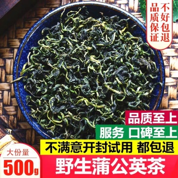 蒲公英茶大货批发野生婆婆丁新货
