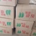 青茄大棚茄子基地直发量大从优全国发货