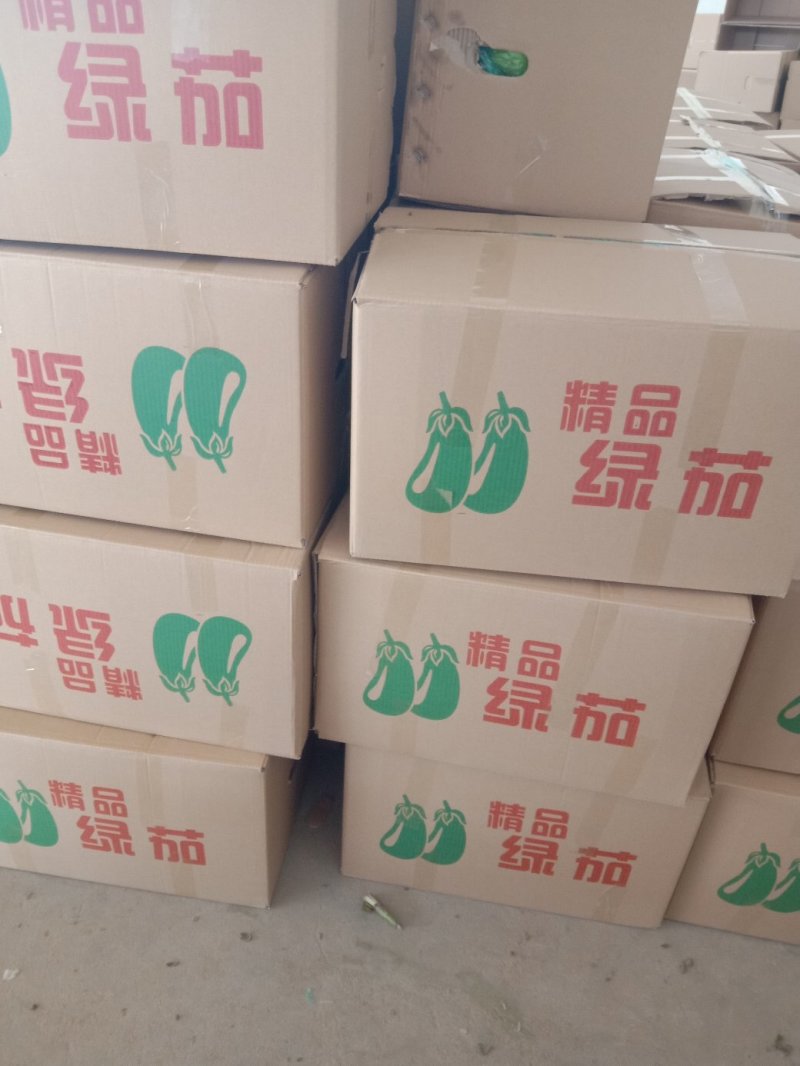 青茄大棚茄子基地直发量大从优全国发货