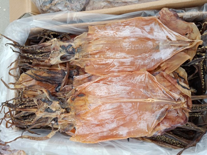 鱿鱼干，淡干产地直发盐干淡干不包运费