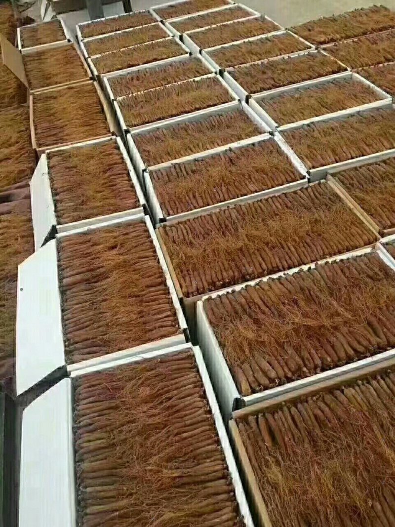 长白山无糖红参批发（干品）红参直条全须，