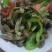 蘑菇干，食用菌，蘑菇干，野生蘑菇，菜菇，姬松茸，次菇