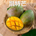 正品广西嫁接芒果苗金煌桂七台农红贵妃像牙带土带叶