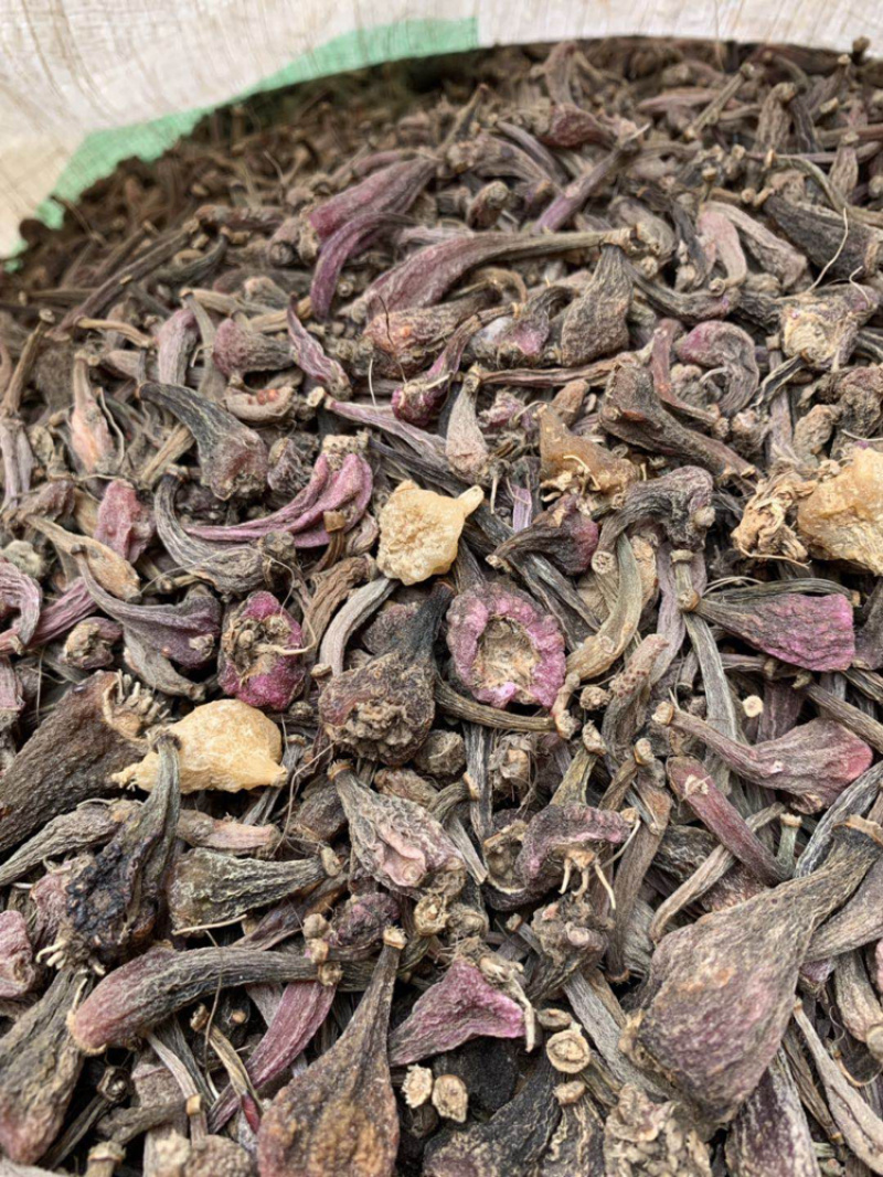 毛茨菇冰球子独蒜兰