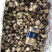 毛茨菇冰球子独蒜兰