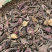 毛茨菇冰球子独蒜兰