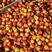 平邑油桃，大棚油桃大量上市，二两起步，产地货源，硬度好，