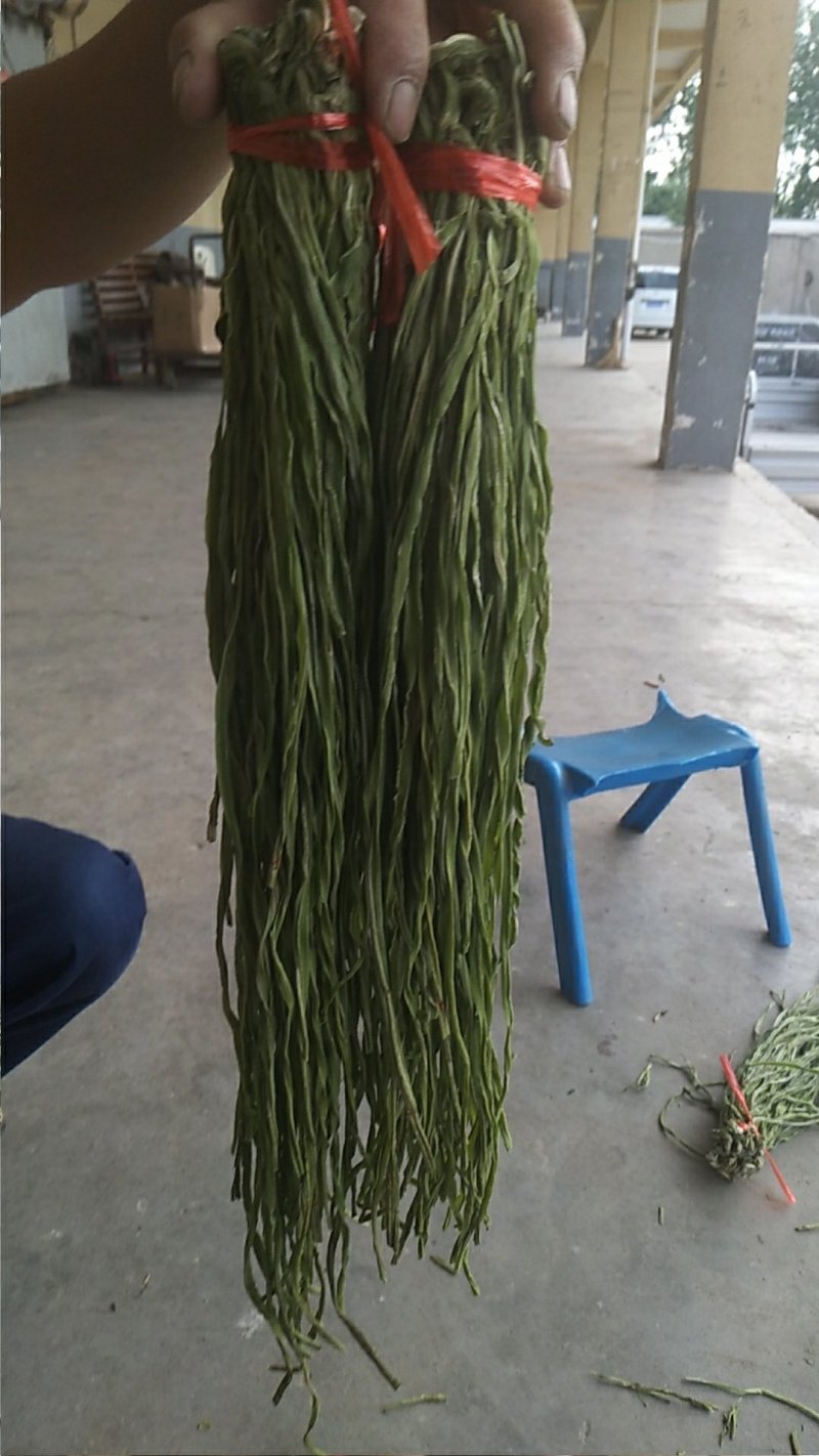 贡菜