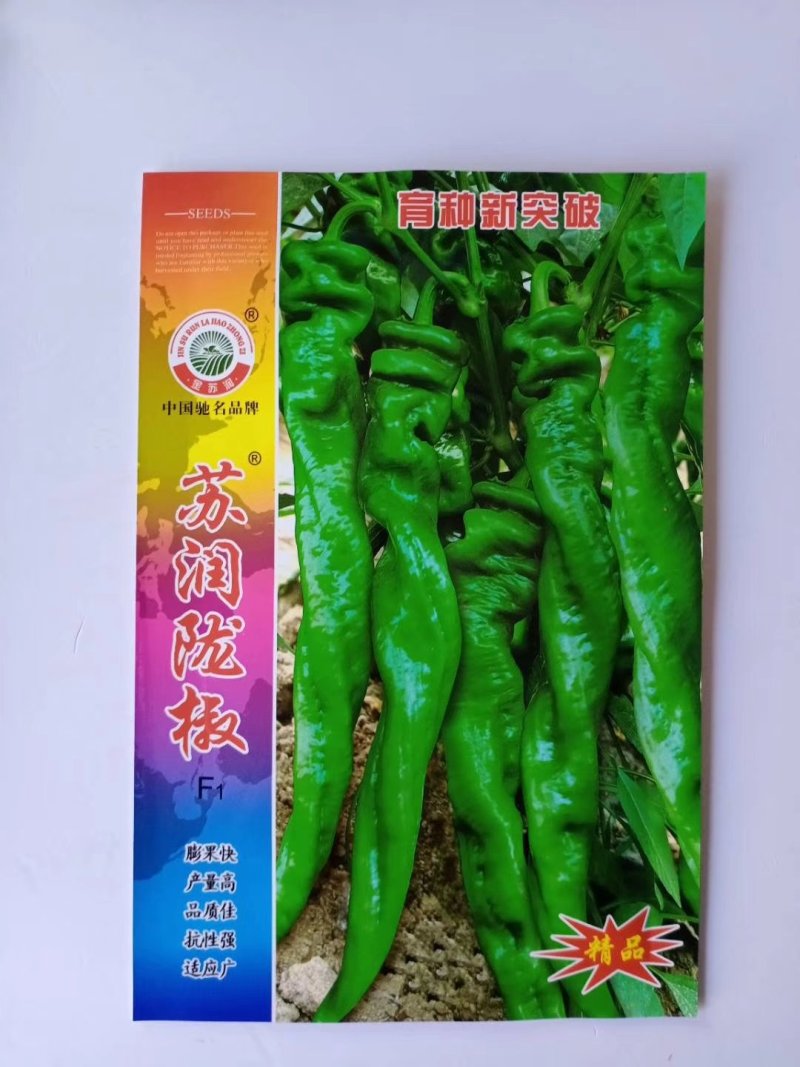 苏润陇椒螺丝椒种子杂交一代早熟品种种子辣味浓香品种