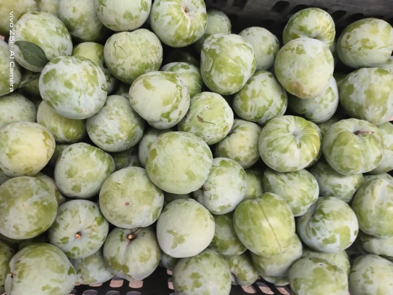 黄金奈李