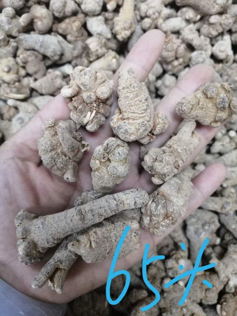 三七（田七），水洗三七不抛光不打蜡颜色靓干度好可免费打粉