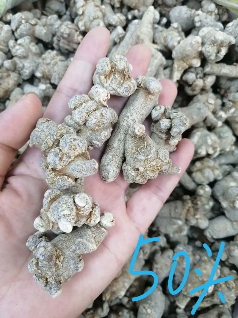 三七（田七），水洗三七不抛光不打蜡颜色靓干度好可免费打粉