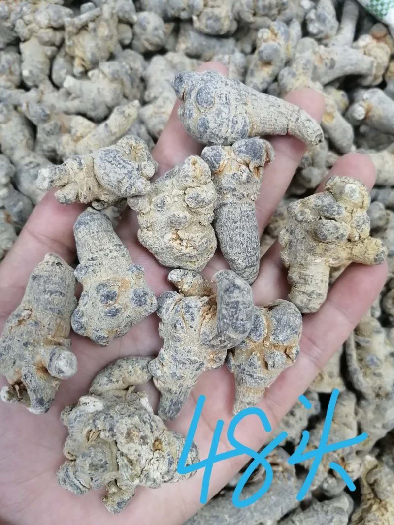 三七（田七），水洗三七不抛光不打蜡颜色靓干度好可免费打粉