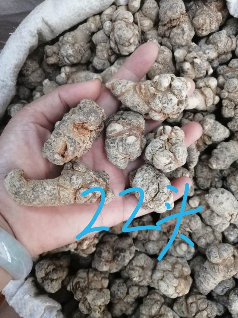 三七（田七），水洗三七不抛光不打蜡颜色靓干度好可免费打粉