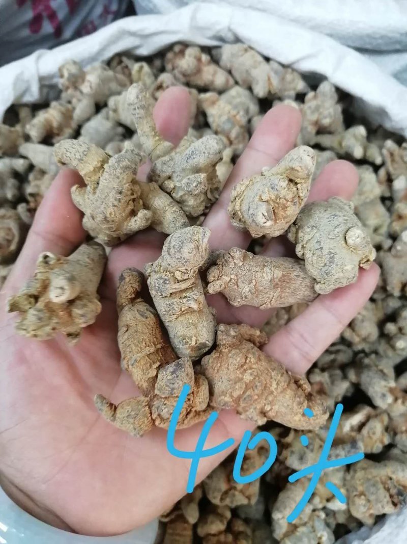 三七（田七），水洗三七不抛光不打蜡颜色靓干度好可免费打粉