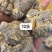 三七（田七），水洗三七不抛光不打蜡颜色靓干度好可免费打粉