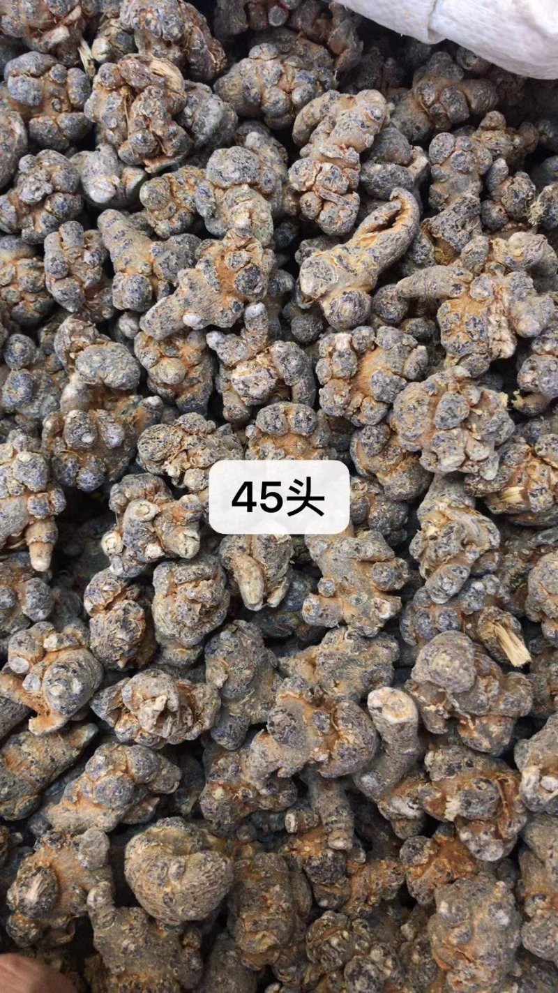 三七（田七），水洗三七不抛光不打蜡颜色靓干度好可免费打粉