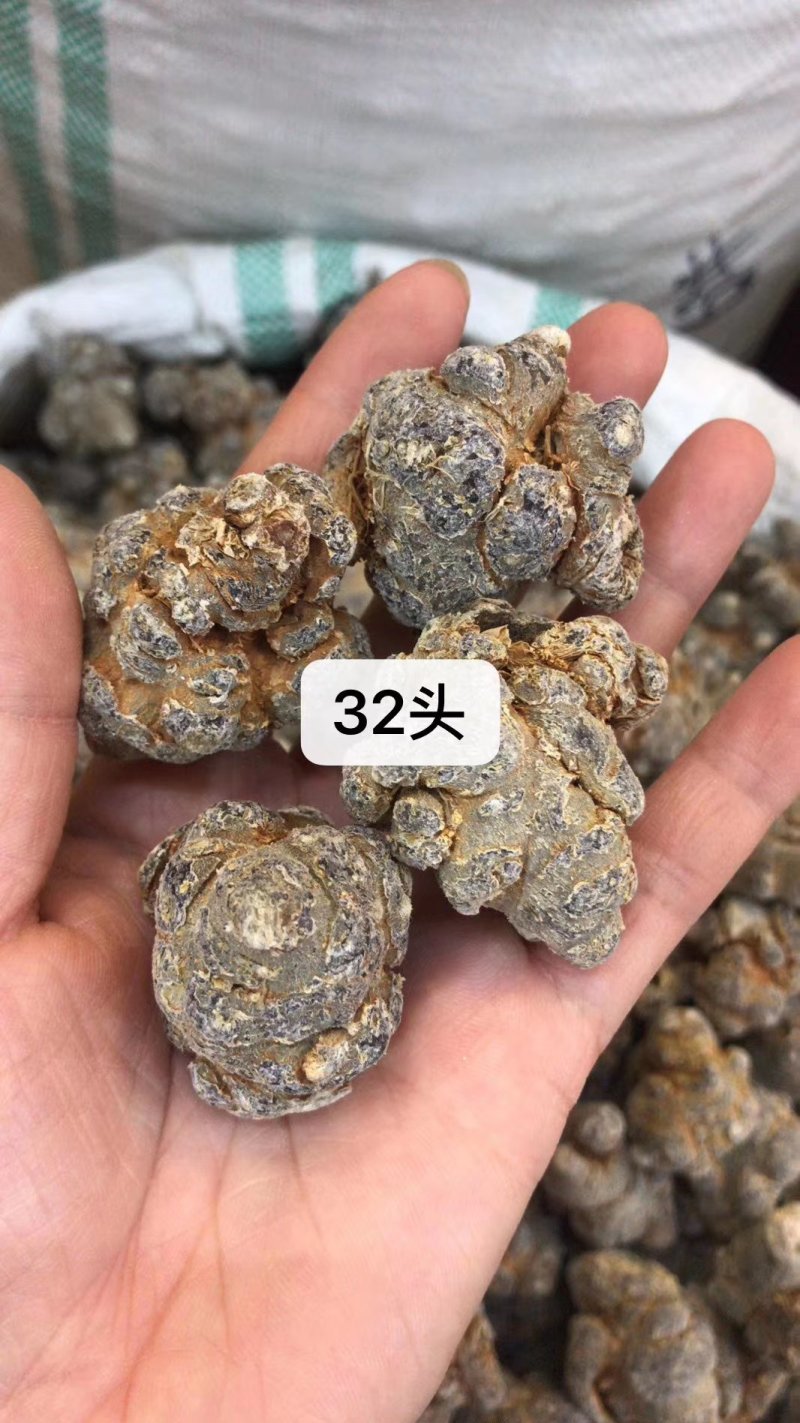 三七（田七），水洗三七不抛光不打蜡颜色靓干度好可免费打粉