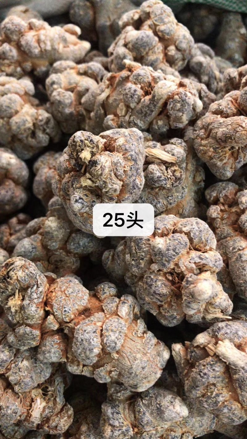 三七（田七），水洗三七不抛光不打蜡颜色靓干度好可免费打粉