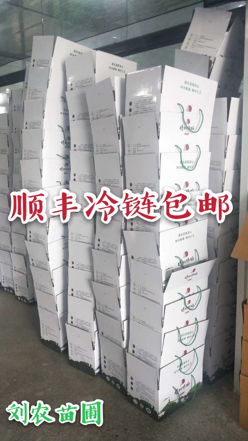 杨梅鲜果，深山杨梅，杨梅之乡，一箱四斤顺丰冷链包邮
