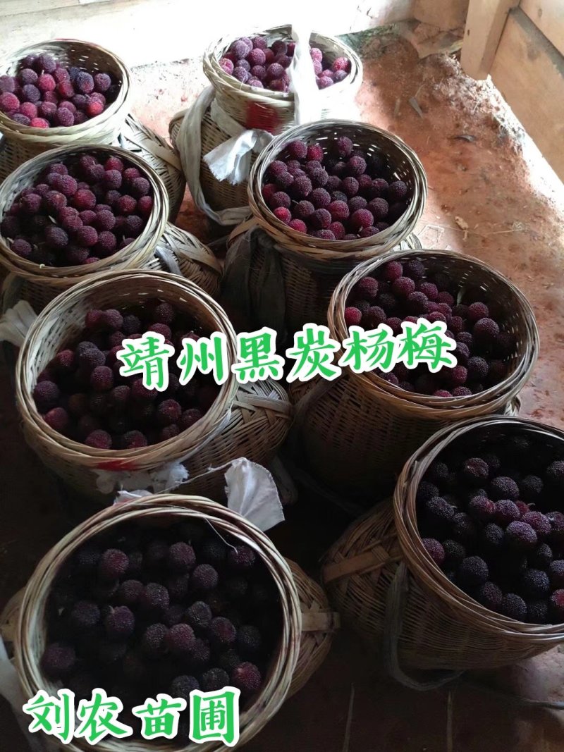 杨梅鲜果，深山杨梅，杨梅之乡，一箱四斤顺丰冷链包邮