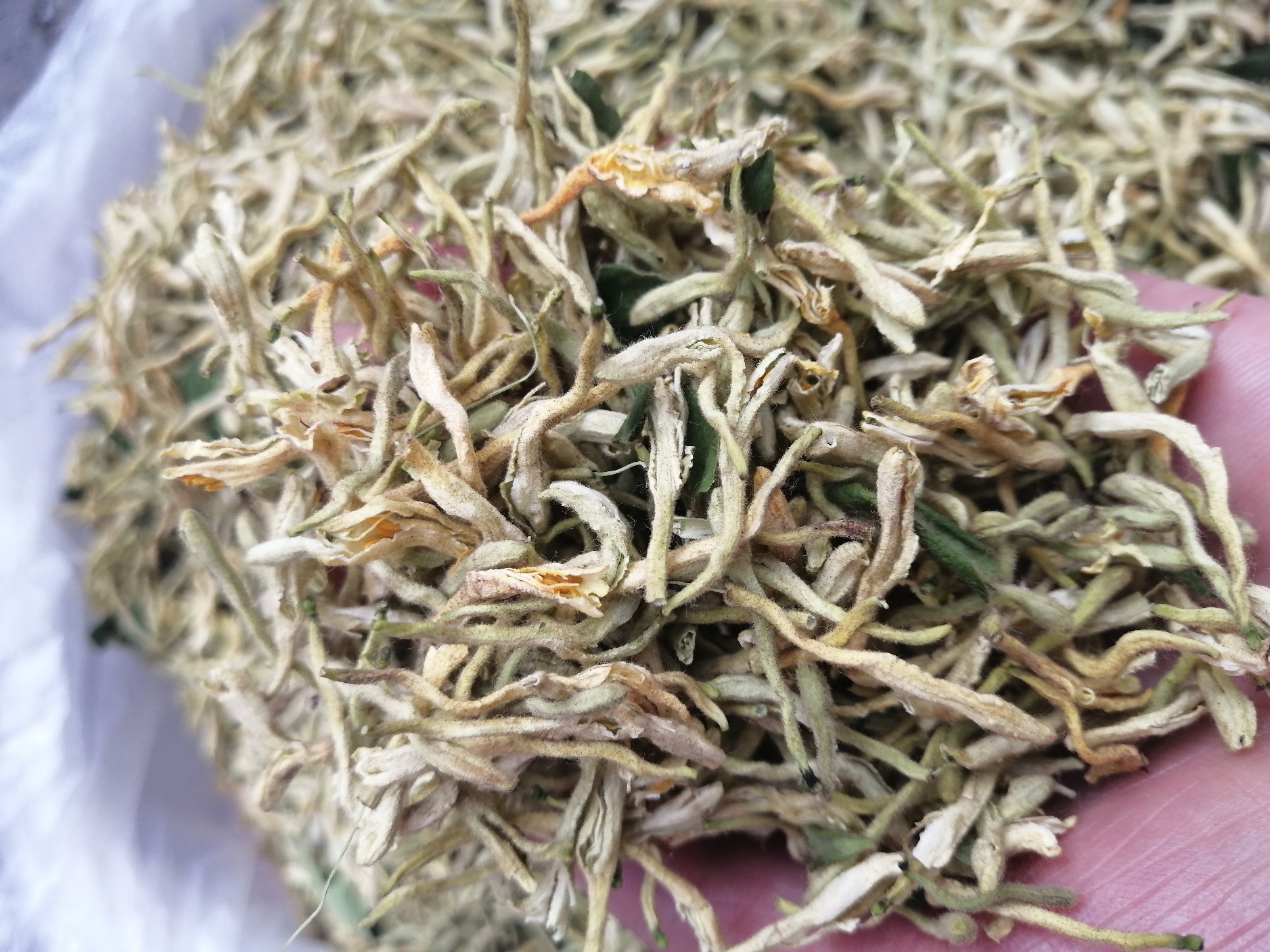 女性示范白芷水湿敷手法:使用无纺布剪成面部轮廓大小,浸透0.5%白芷水后轻敷于两颊与额头,避免覆盖眼唇,单次不超过2分钟 白芷水洗脸操作示意图:洁净双手取30mL冷却白芷水于掌心,以指腹轻柔按压额头、鼻翼、下巴等部位,避开眼周,停留30秒后用清水冲洗
