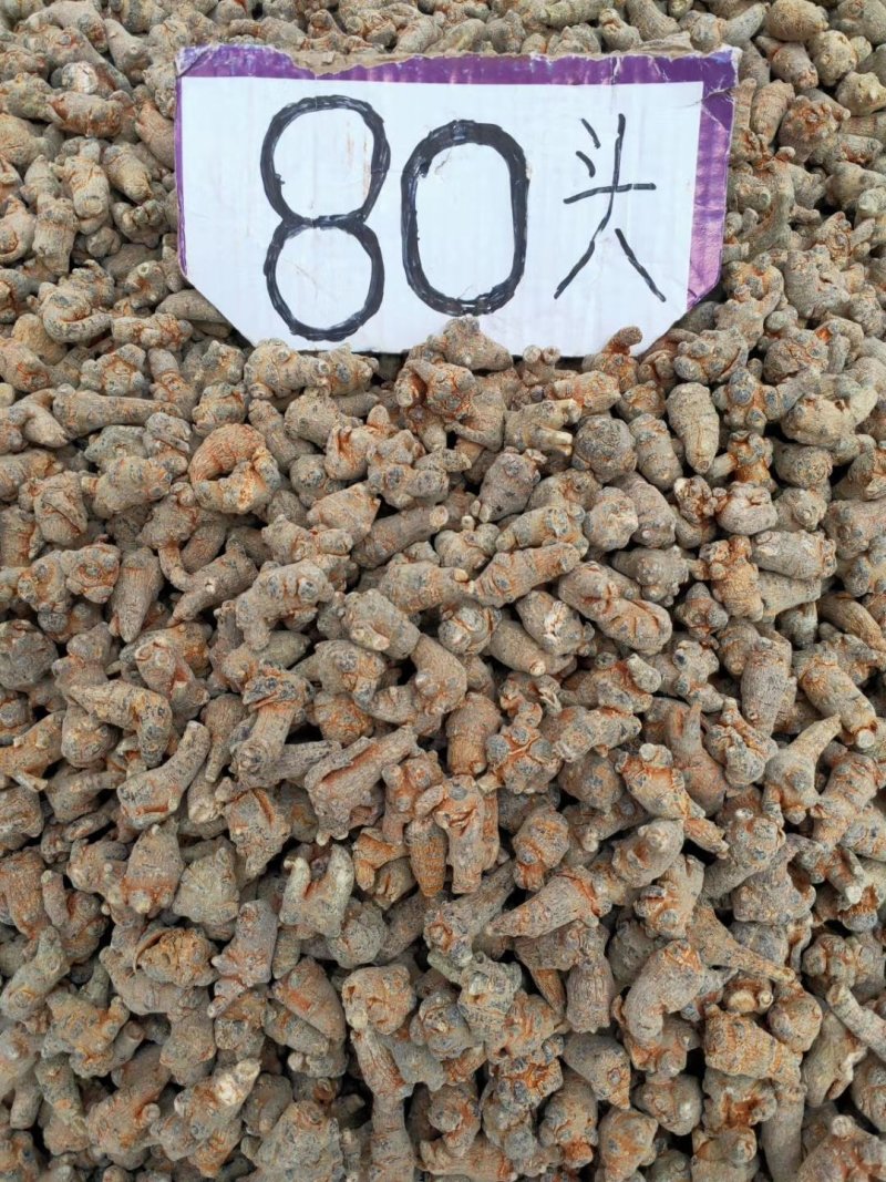 三七根，水洗田七须根，中药材三七须根，长期有货供应