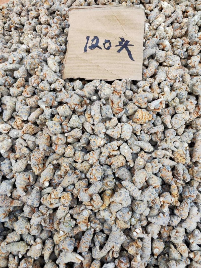 三七根，水洗田七须根，中药材三七须根，长期有货供应