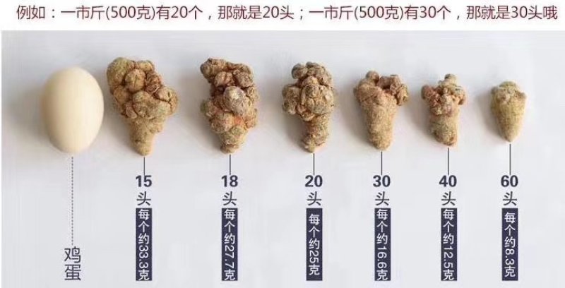 三七根，水洗田七须根，中药材三七须根，长期有货供应