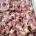 【熟马肉】老汤大块马碎肉，***淀粉