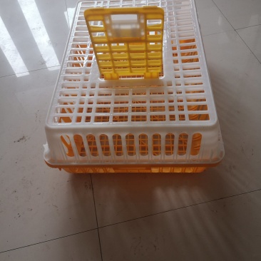 鸡鸭禽类转运笼周转箱熟料厂家直销