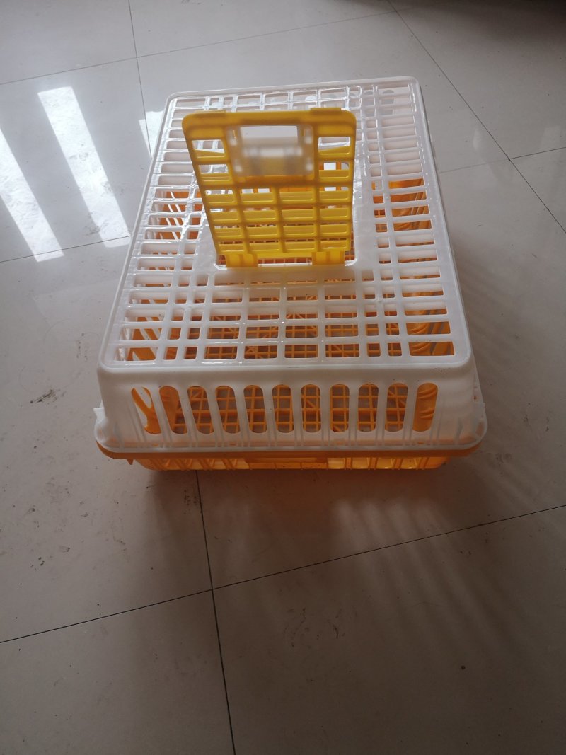 鸡鸭禽类转运笼周转箱熟料厂家直销