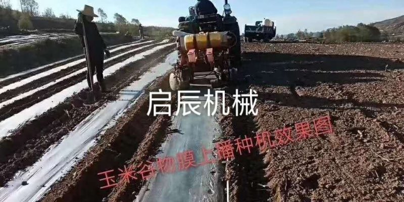 花生膜上打孔播种机拖拉机精播施肥免抠膜高粱谷物黍子大豆