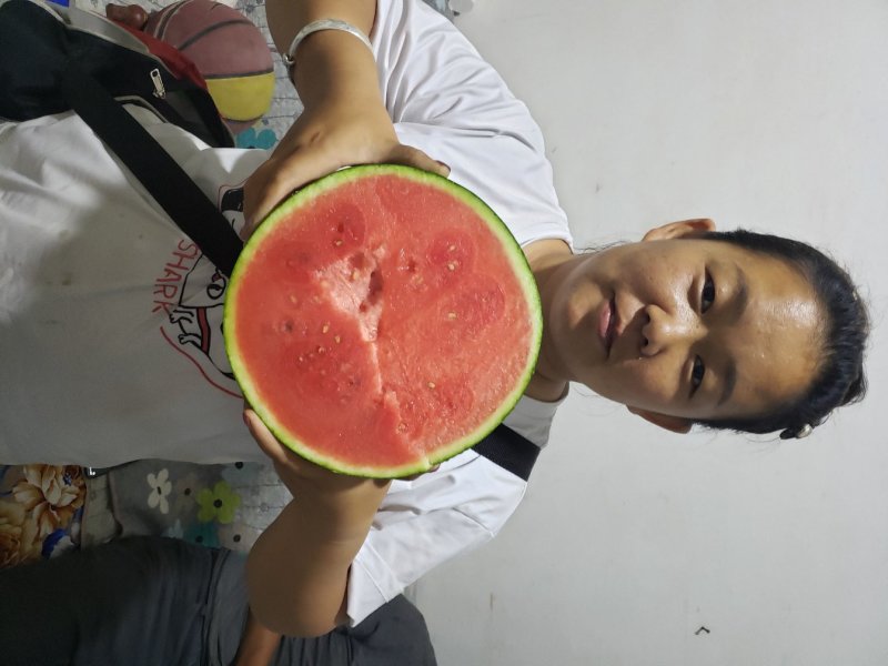 墨瞳西瓜，每天大量供应，价格便宜，地头装货