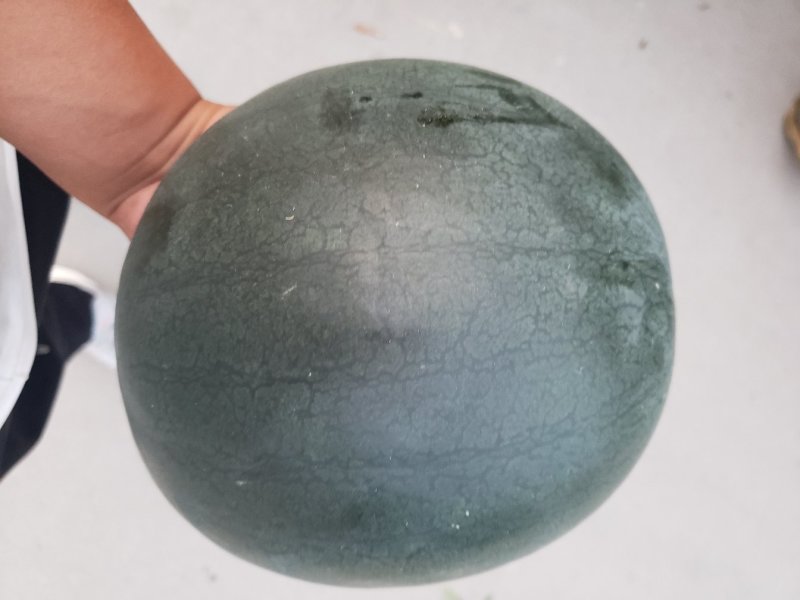 墨瞳西瓜，每天大量供应，价格便宜，地头装货