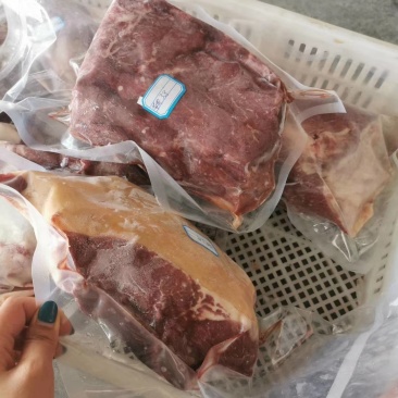 杜蒙荣辉肉食批发厂，带皮马肉大量供应批发