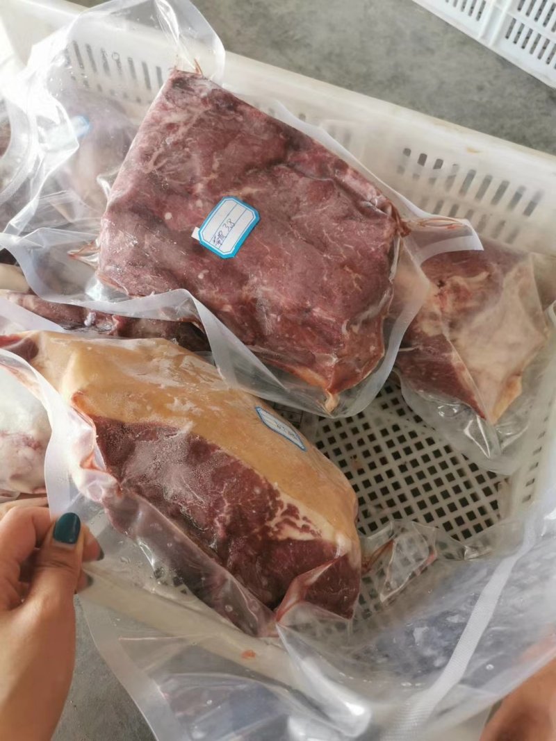 杜蒙荣辉肉食批发厂，带皮马肉大量供应批发