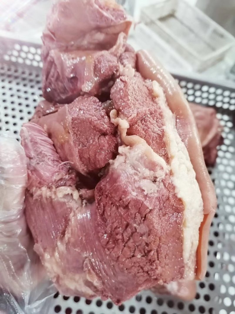 杜蒙荣辉肉食批发厂，带皮马肉大量供应批发
