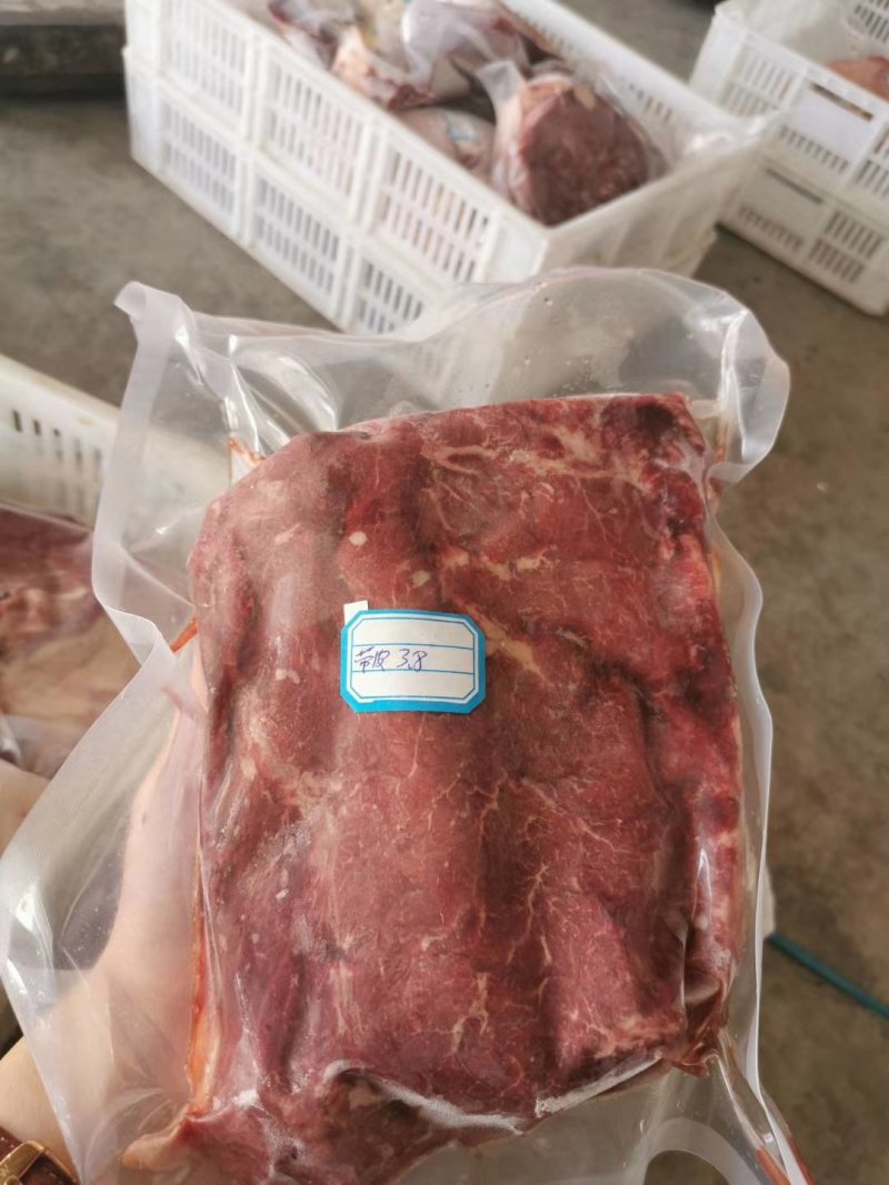 杜蒙荣辉肉食批发厂，带皮马肉大量供应批发