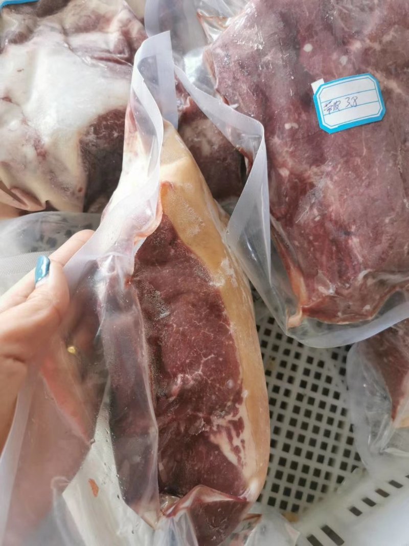 杜蒙荣辉肉食批发厂，带皮马肉大量供应批发
