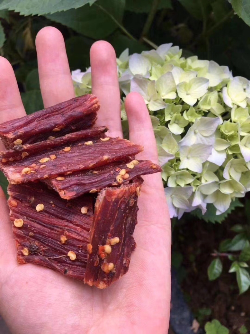 手撕肉干风干肉香辣五香网红休闲零食青花椒味风干肉