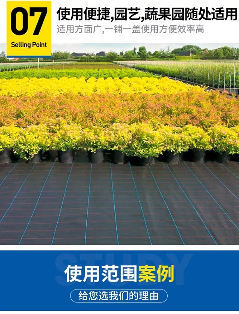 防草布除草布农用果树果园大棚可抗老化耐用渗水保湿黑色防草