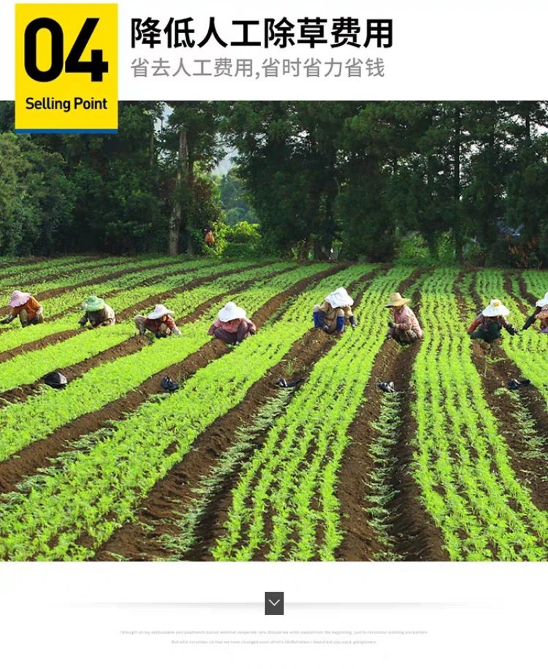 防草布除草布农用果树果园大棚可抗老化耐用渗水保湿黑色防草