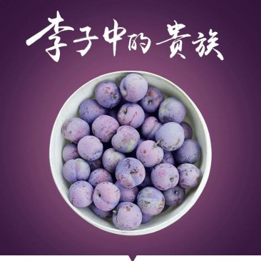 五月脆、半边红、脆红李、蜂糖李李子