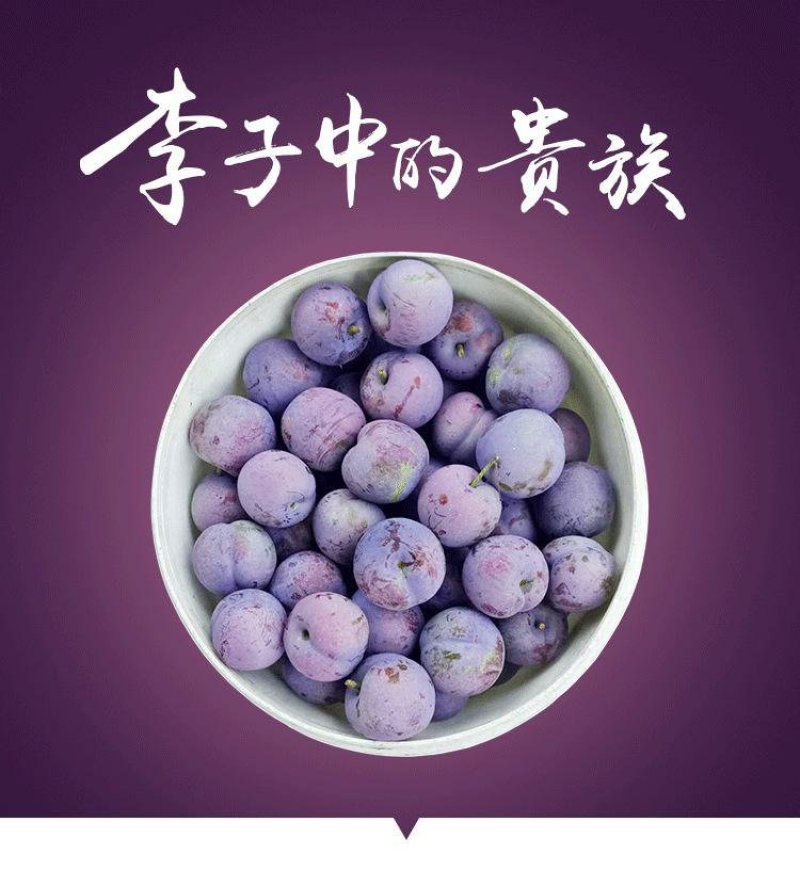 五月脆、半边红、脆红李、蜂糖李李子