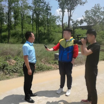 中牟早熟紫皮大蒜产地直供。