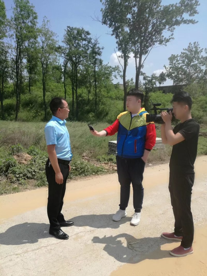 中牟早熟紫皮大蒜产地直供。