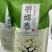 绿茶碧螺春，特价走量28元/斤一斤也是批发价耐泡