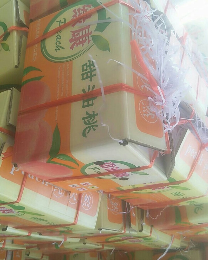中油19油桃，各种品种油桃，黄肉白肉都有可批发零售，
